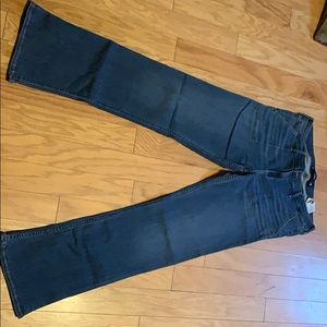 Hollister Jean